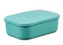 CAJA ORGANIZADORA 3L C/TAPA COLOR
